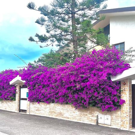 tulipano rosso Bari Exterior foto